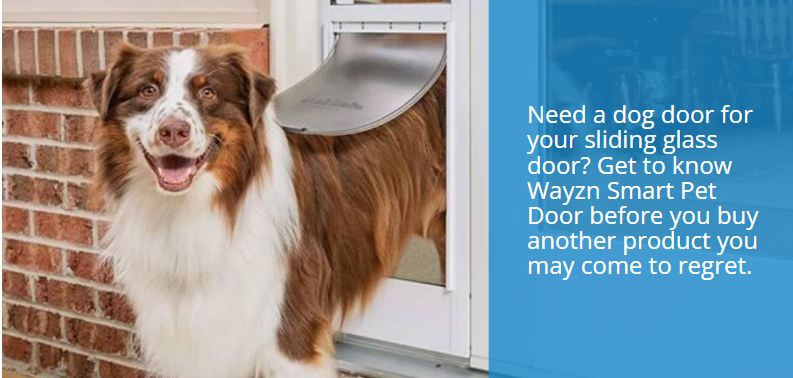 The best dog door for a sliding glass door, by far