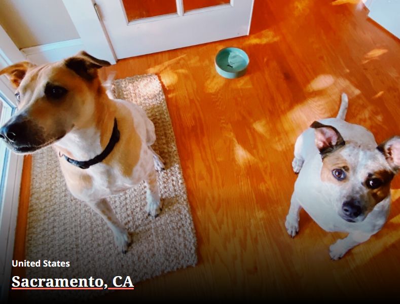 Buster and Olive, #FreedbyWayzn