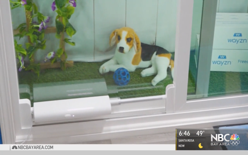 NBC Features Wayzn During Their Coverage of the 2020 CES