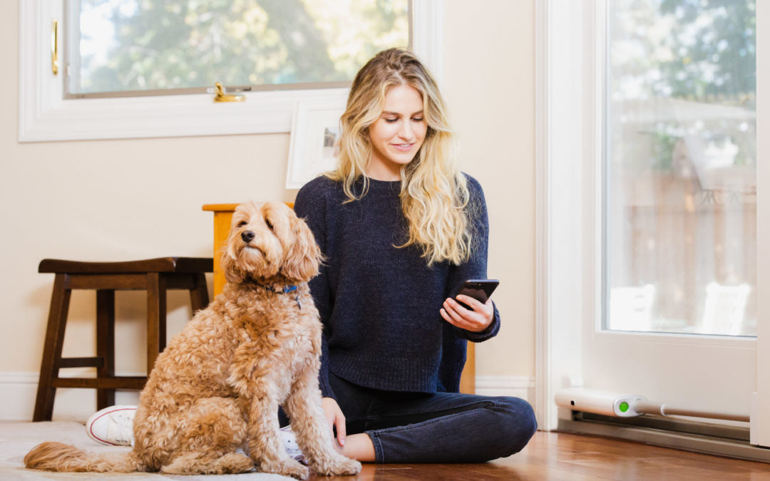 5 Things You Have to Know Before Adopting a Dog