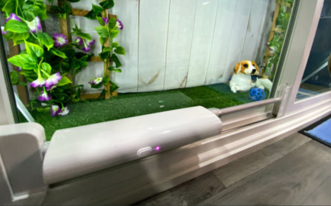 The New Daily: Nothing is safe from the ‘smart home’ trend of 2020