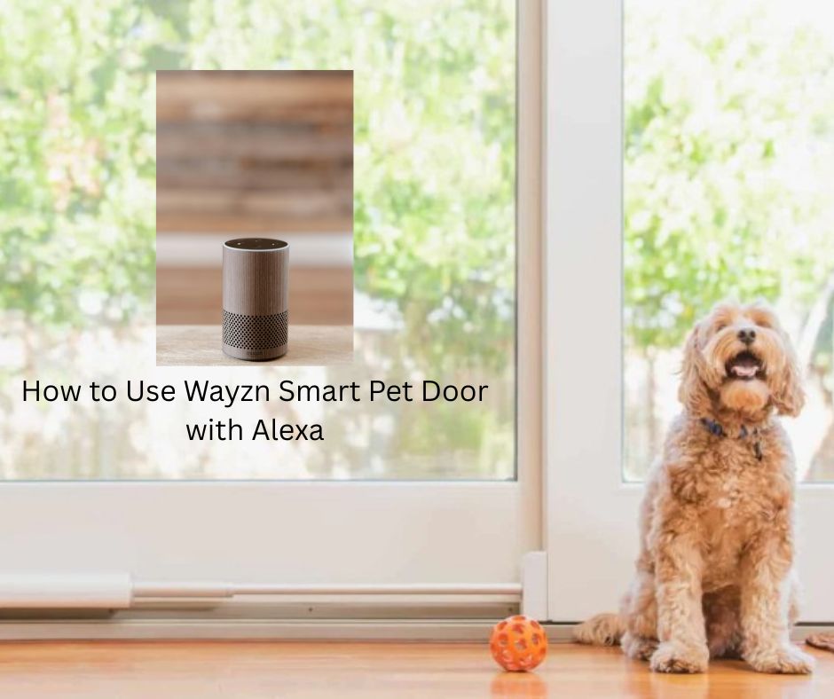 How to Use Wayzn Smart Pet Door with Alexa
