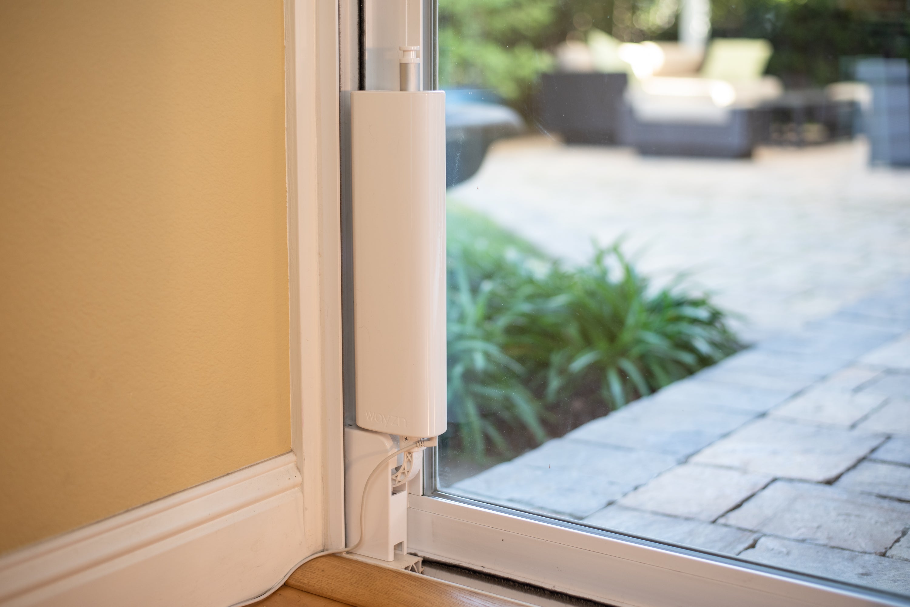Wayzn vs. Autoslide vs. SmartSlydr: Which Automatic Pet Door is Safest?