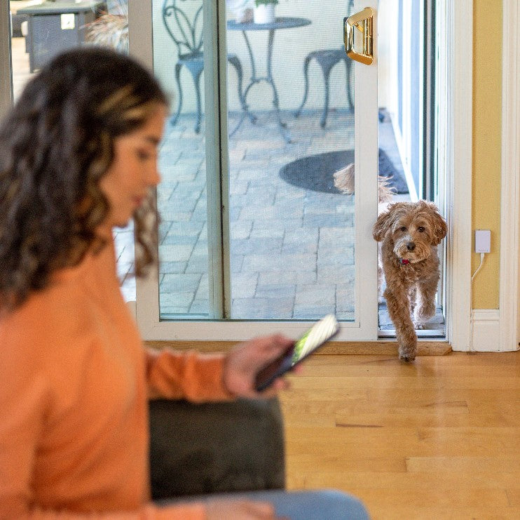 7 Factors to Consider When Buying a Sliding Door Pet Door