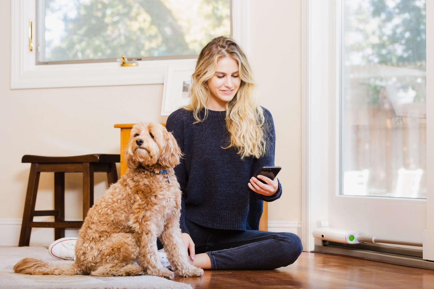 The Ultimate Damage-Free Dog Door: How to Give Your Pet Freedom Without Ruining Your Home