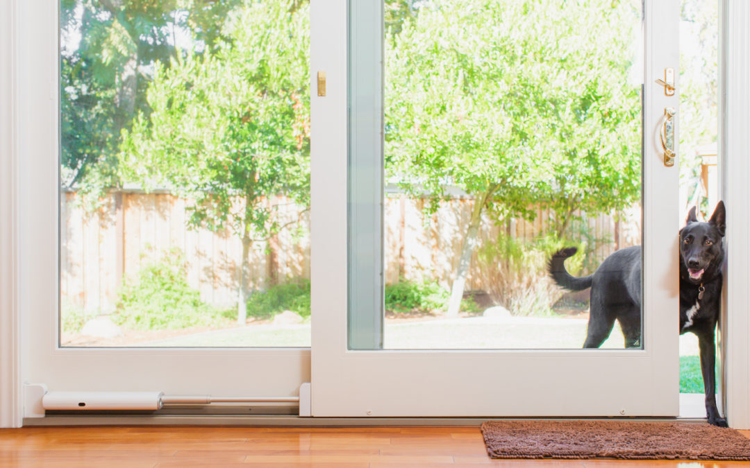 Smart Pet Door Bundle