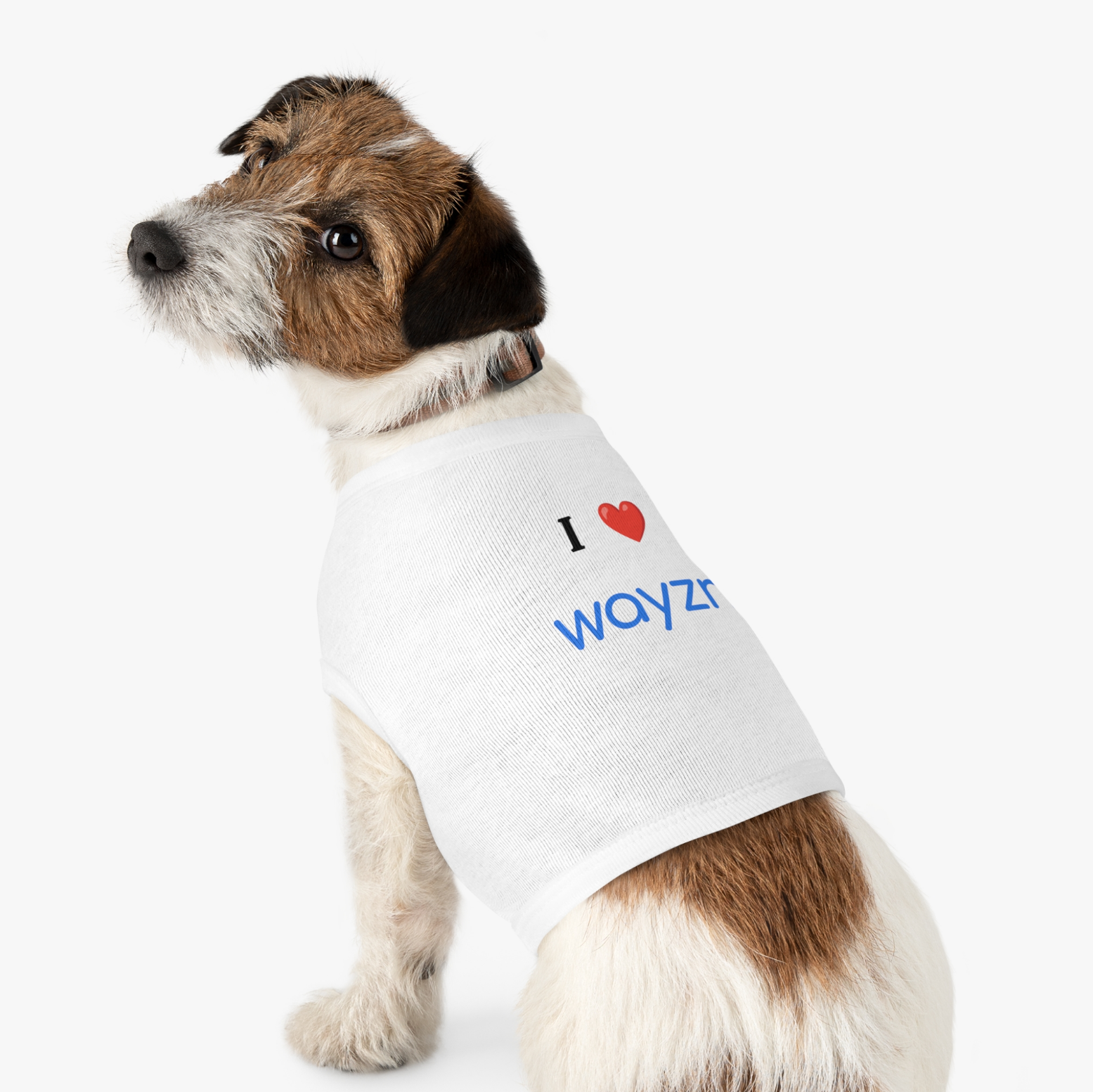 A dog wearing the I Heart Wayzn Dog Jersey, a close-up of a cute dog.