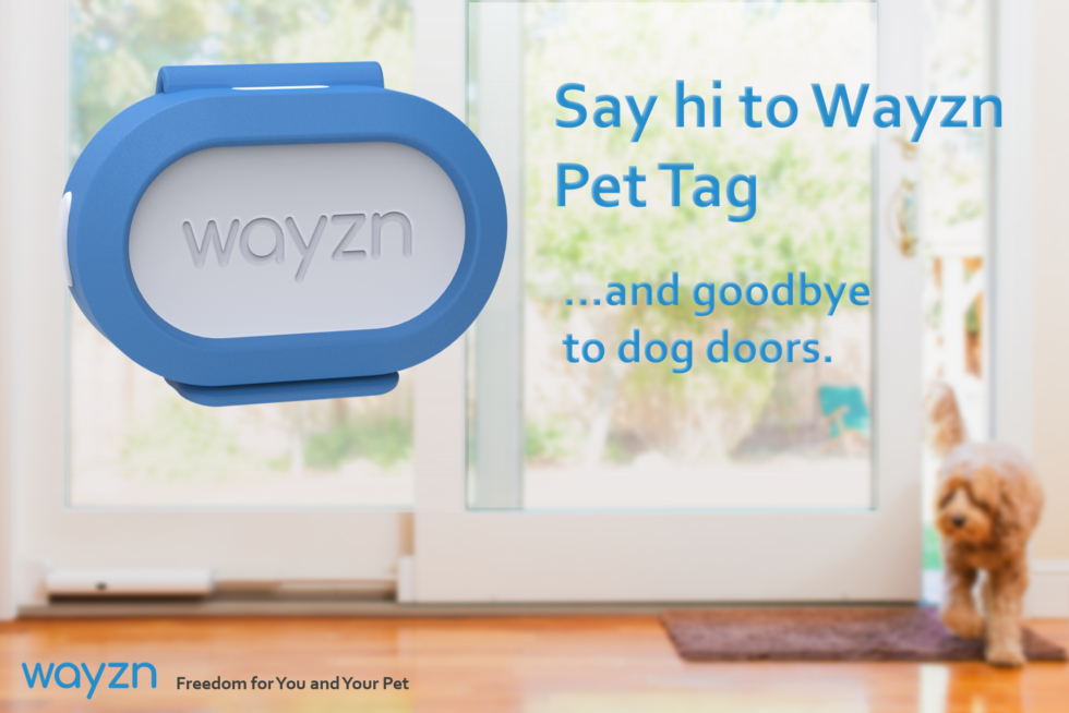 Announcing Wayzn Pet Tag