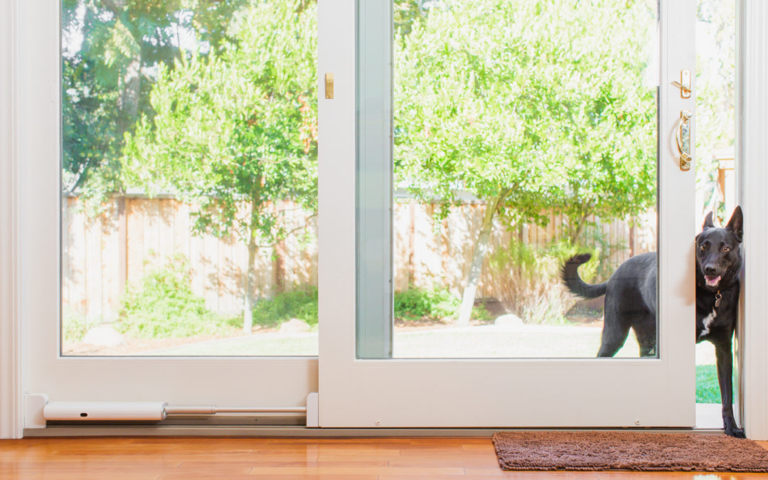 Edgadget: Wayzn turns your sliding door into a smart pet entrance
