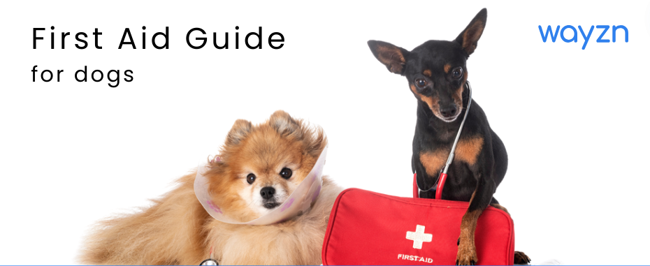 First Aid Guide for Dogs