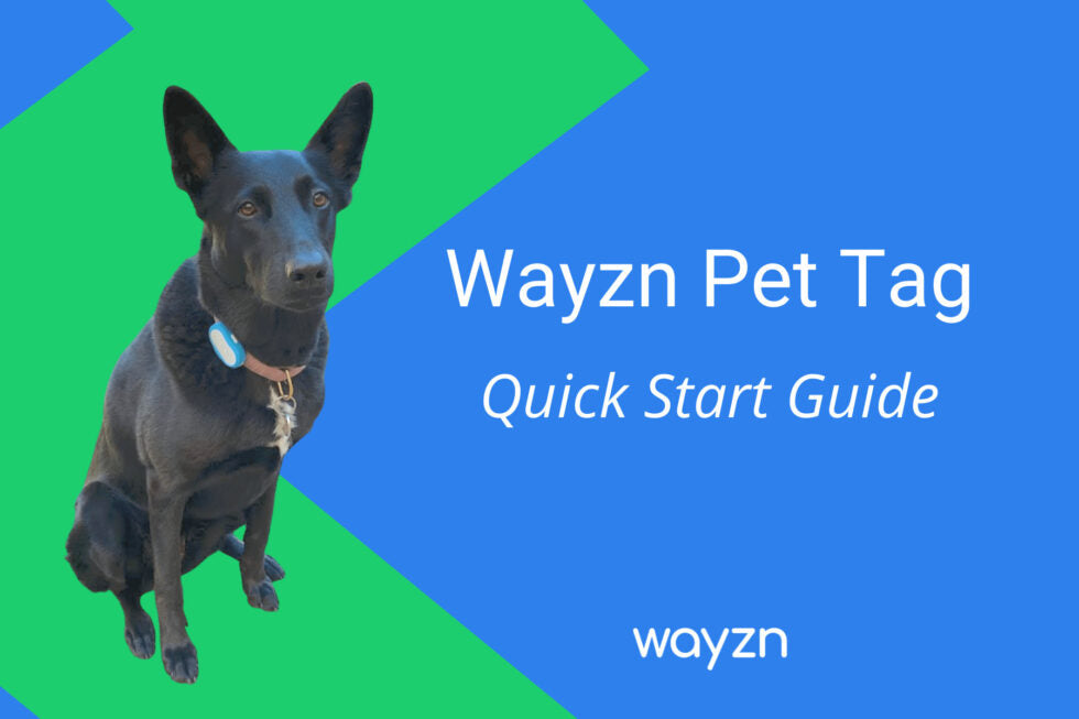 Protected: Wayzn Pet Tag Quick Start Guide