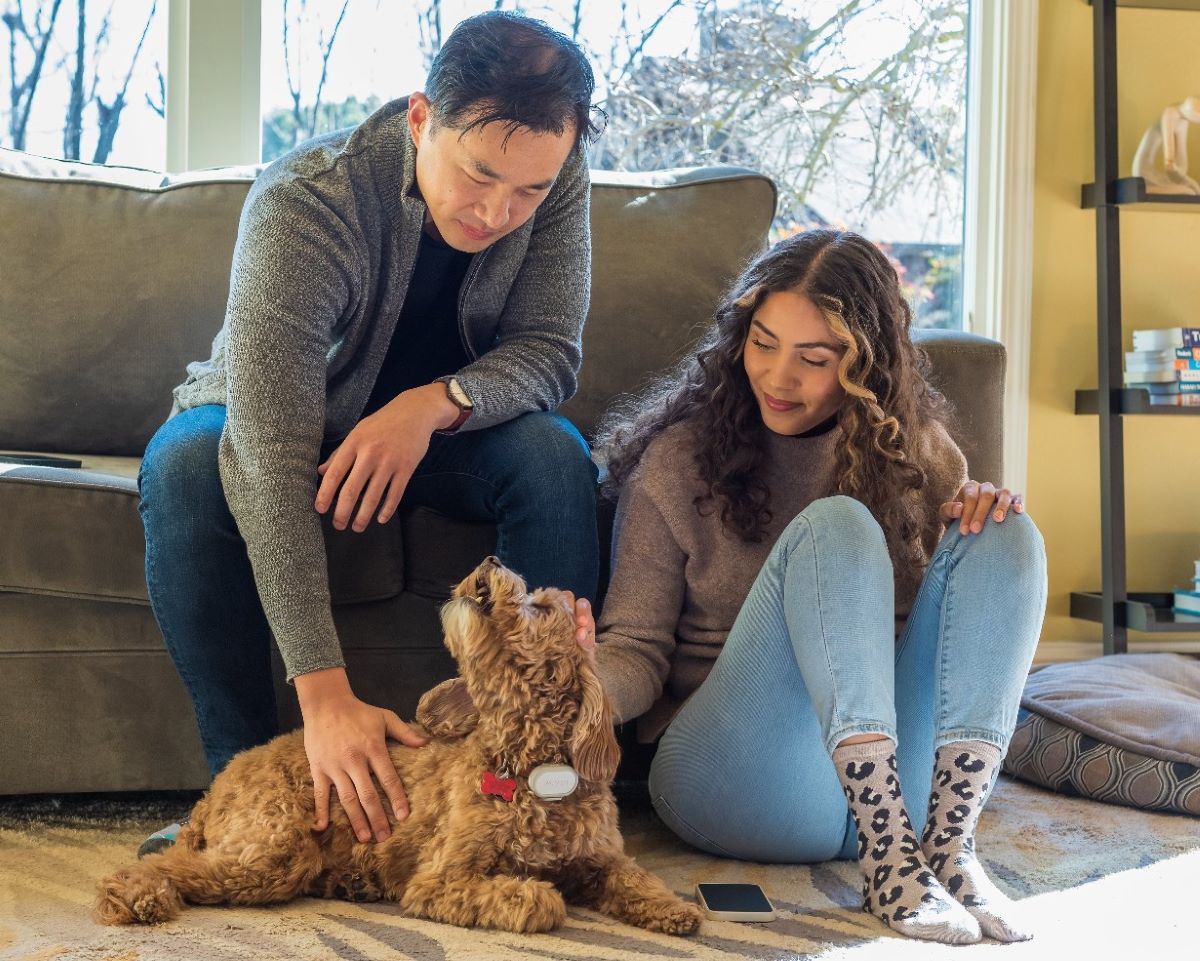 Experience freedom from schedules with the Wayzn Smart Pet Door