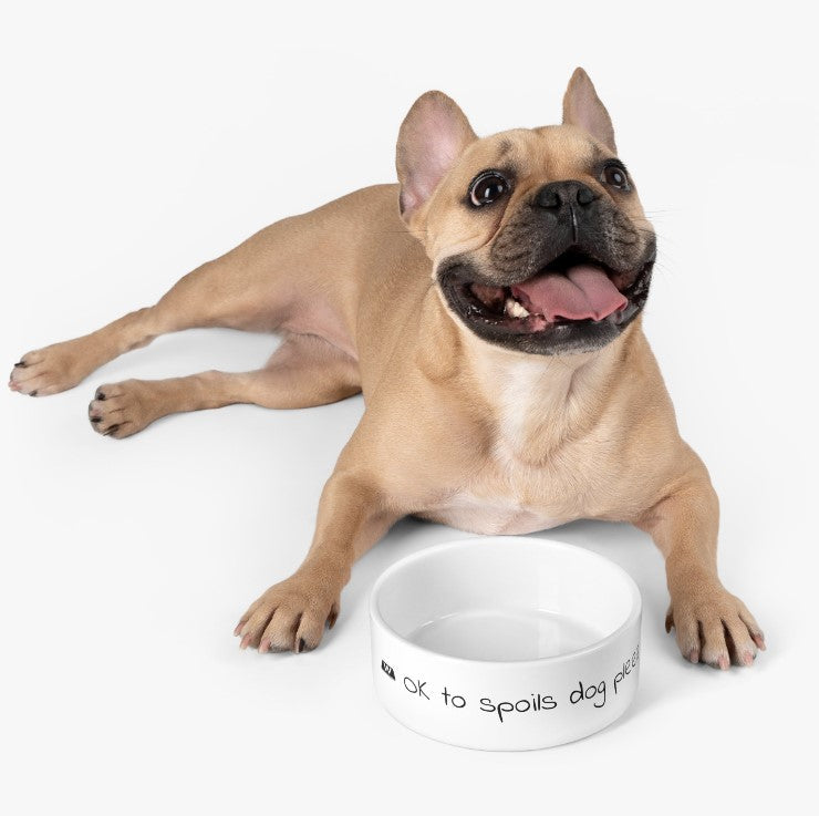 OK to spoils dog pleez - Pet Bowl: a dog lying next to a bowl, a close-up of a dog's nose, a close-up of a dog's tongue.