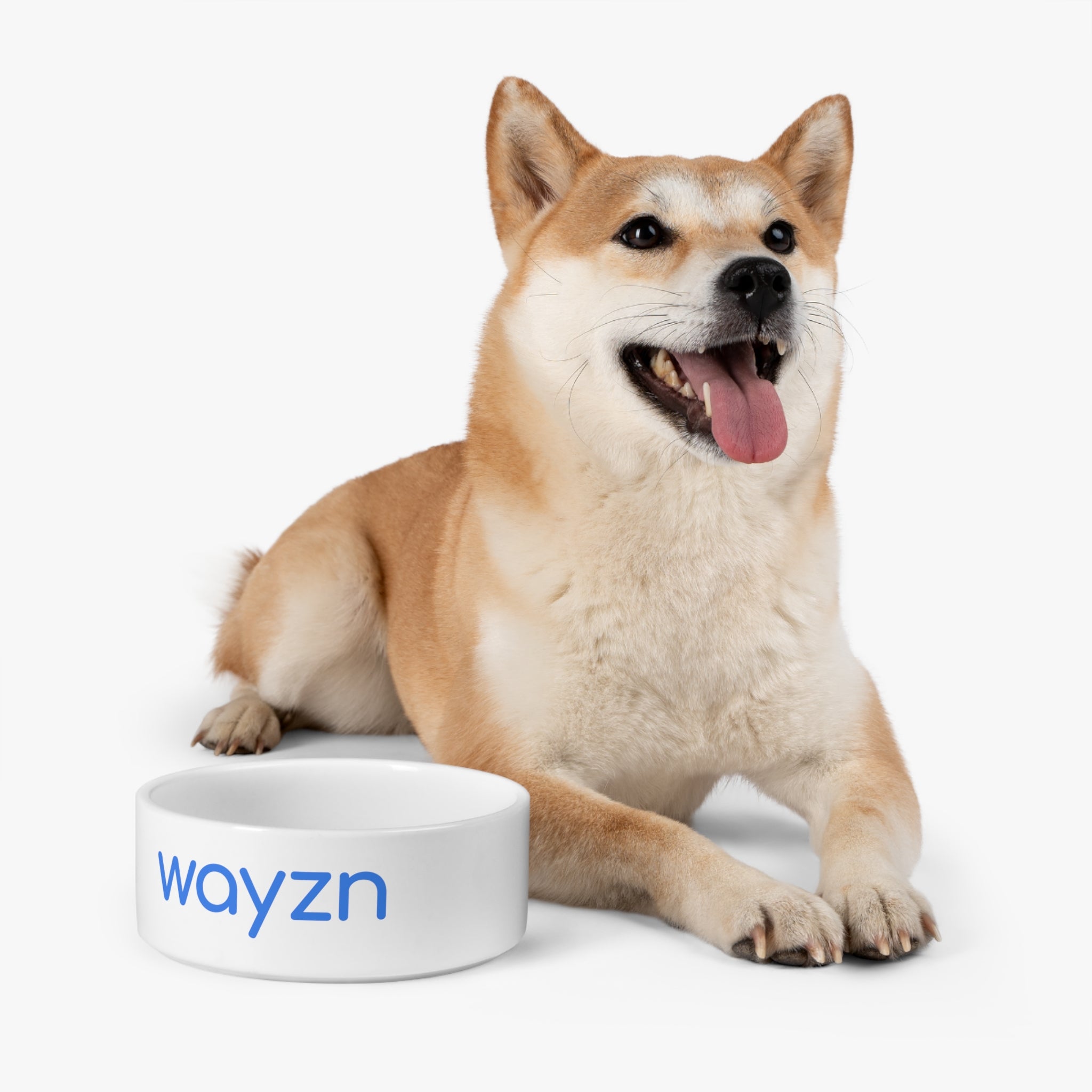 Wayzn Logo - Pet Bowl